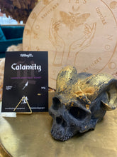 Load image into Gallery viewer, Filthy Little Thing “Calamity” skull soap
