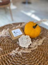 Load image into Gallery viewer, Wiled &amp; Divine oatmeal soap

