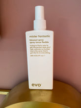 Load image into Gallery viewer, Mister fantastic
