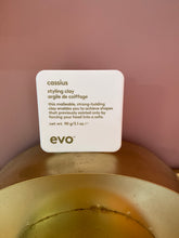 Load image into Gallery viewer, Cassius
