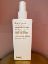 Load image into Gallery viewer, Day of grace
